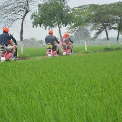 “From sun-dappled fields to reflections in the river, your Vespa ride is surrounded by nature’s calm.”