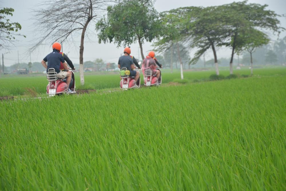 Hanoi Countryside Vespa Tour: Red River Delta & Co Loa Ancient Citadel