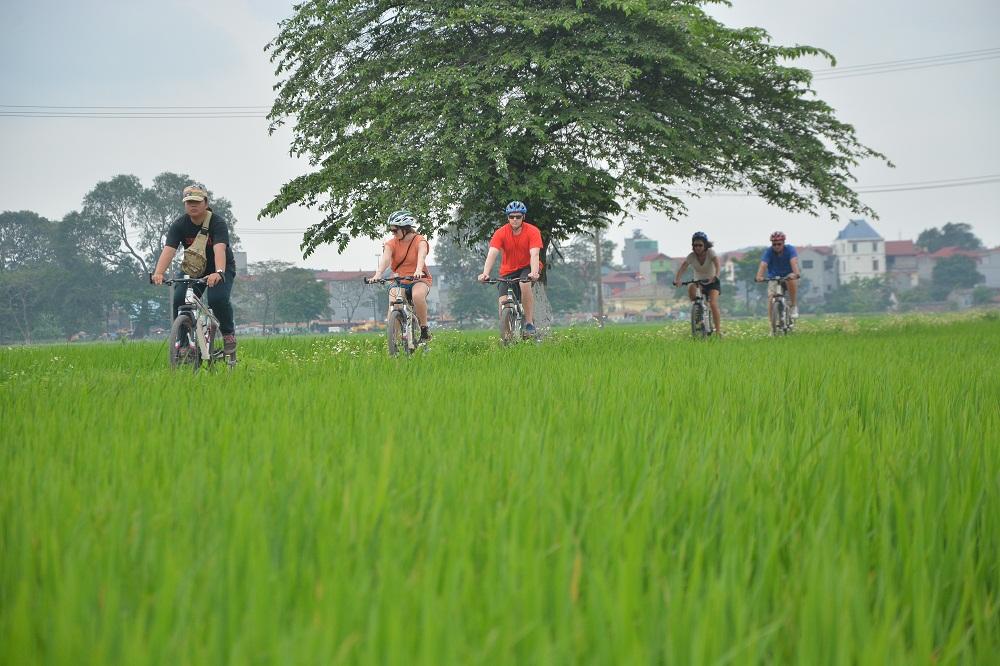 Hanoi Bicyle Tours: Bicycle Tours Hanoi City Half Day