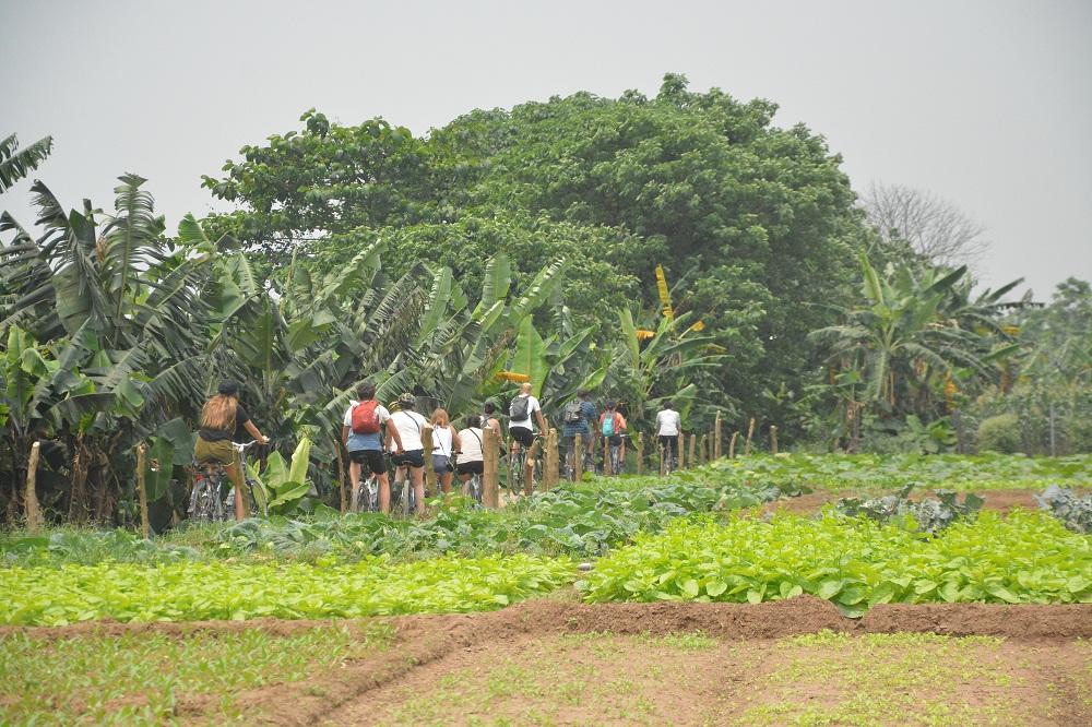 Hanoi Bicyle Tours: Bicycle Tours Hanoi City Half Day