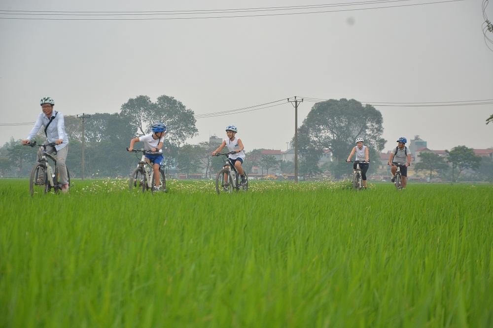 Hanoi Bicyle Tours: Bicycle Tours Hanoi City Half Day