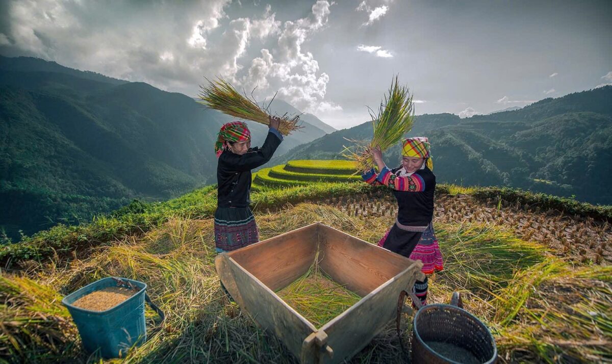 Sapa Motorbike Tours Half Day Led By Women