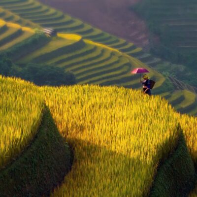 Sapa Motorbike Tours Half Day Led By Women
