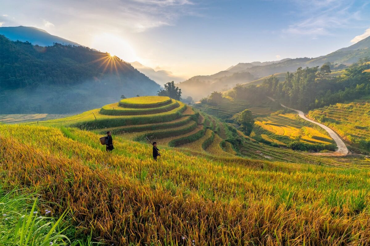 Sapa Motorbike Tours Half Day Led By Women