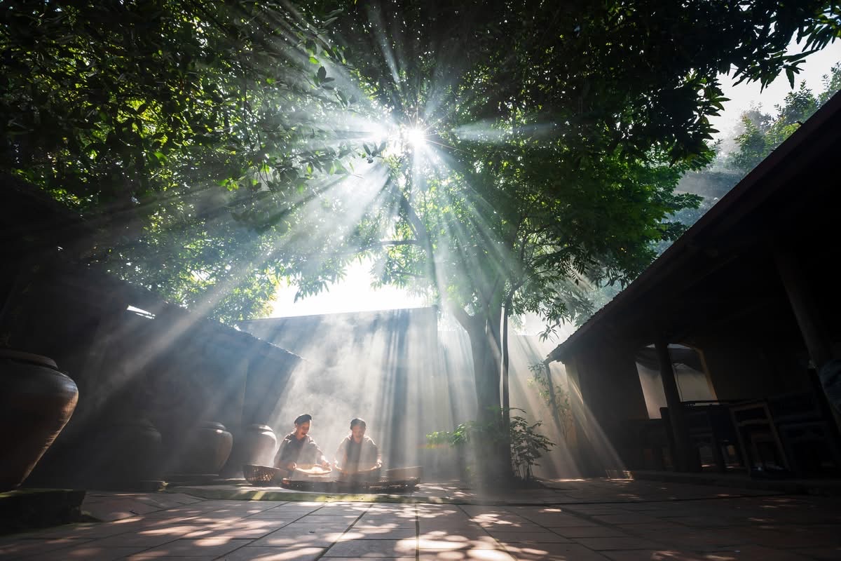 Hanoi Private Half Day Tour | Quang Phu Cau & Chuong Village Led By Women Hanoi Private Half Day Tour | Quang Phu Cau & Chuong Village Led By Women